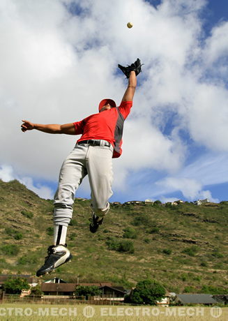 Baseball Festival