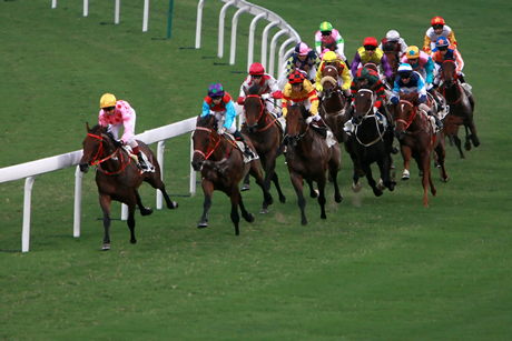 Horse Racing